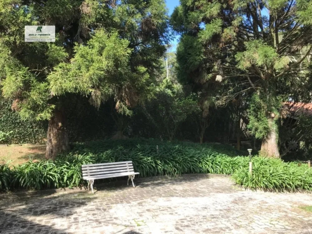 Chácara, 3 quartos, 1800 m² - Foto 4