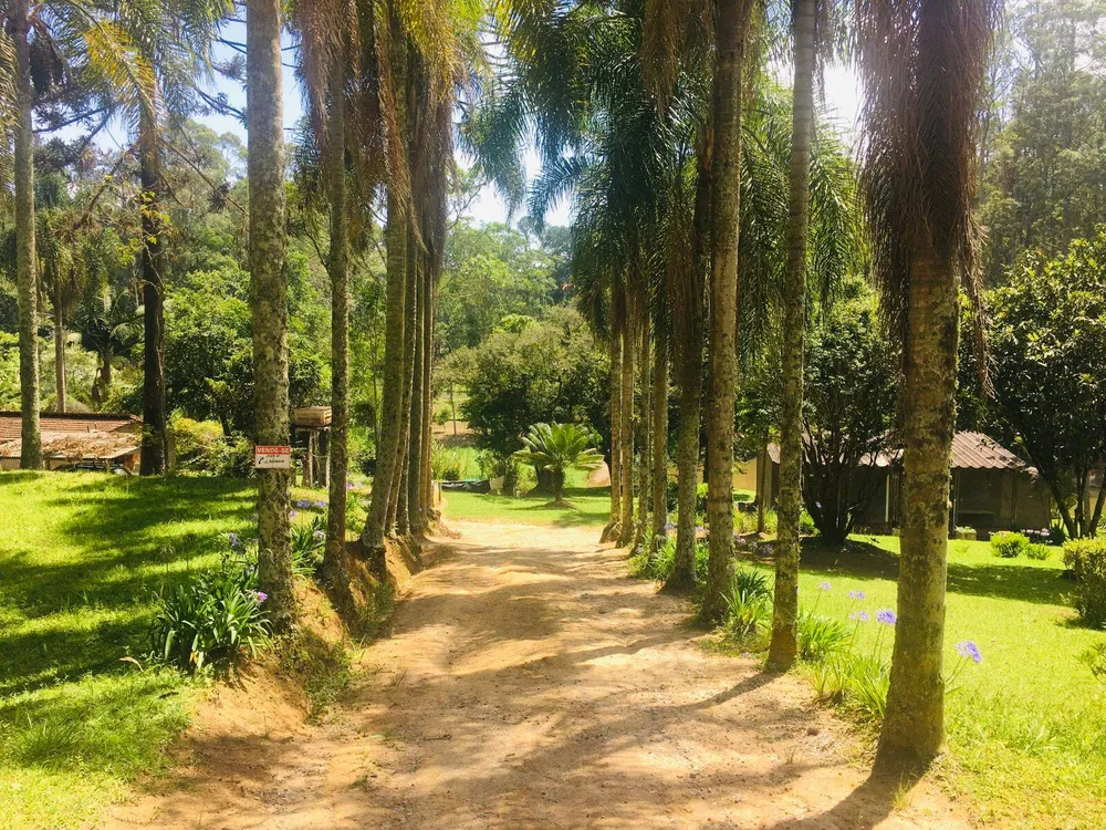 Chácara, 2 quartos, 1 hectares - Foto 3