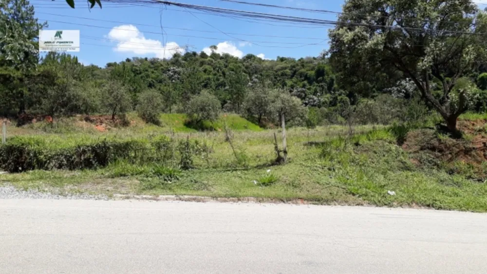 Terreno, 5000 m² - Foto 5