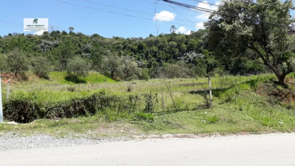Terreno, 5000 m² - Foto 4