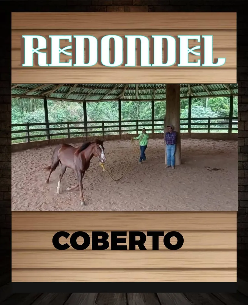 Terreno, 17 hectares - Foto 11