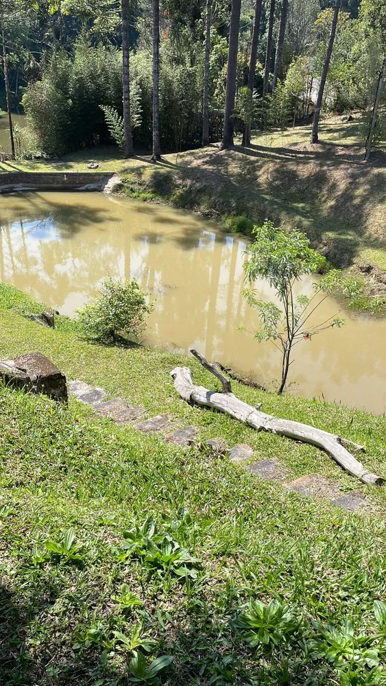 Sítio, 3 quartos, 30 hectares - Foto 6