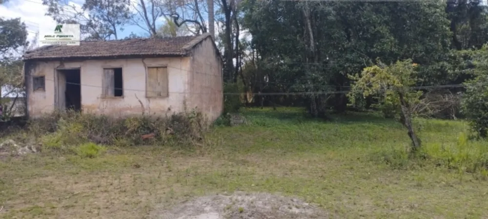 Sítio, 2 quartos, 7 hectares - Foto 10
