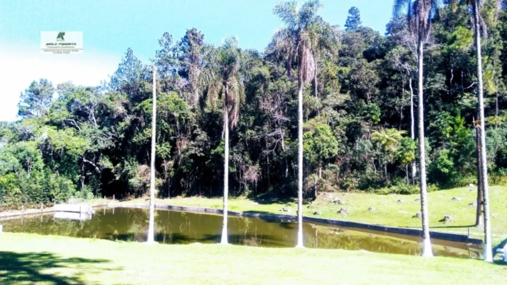 Sítio, 3 quartos, 12 hectares - Foto 2