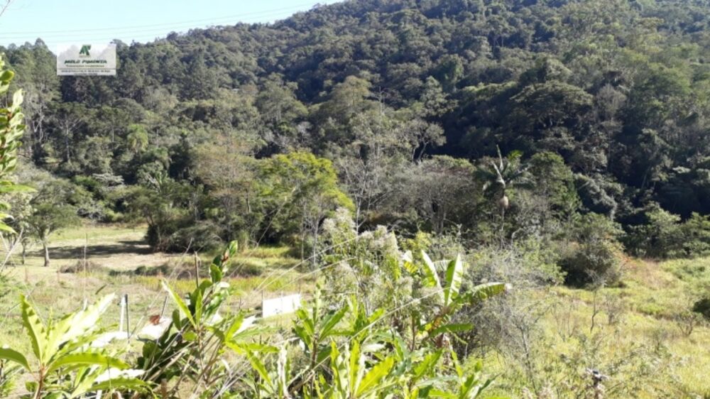 Terreno à venda, 1400m² - Foto 4