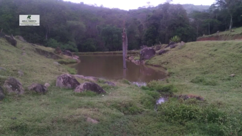 Terreno, 12 hectares - Foto 5