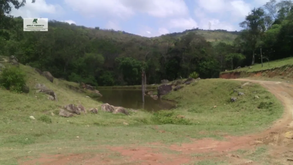 Terreno, 12 hectares - Foto 9