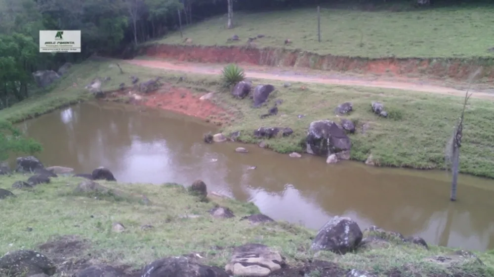 Terreno, 12 hectares - Foto 4