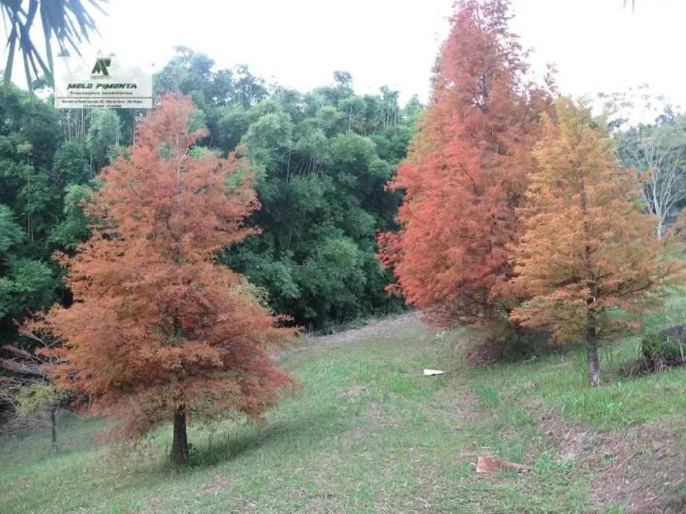 Sítio, 3 quartos, 5 hectares - Foto 10