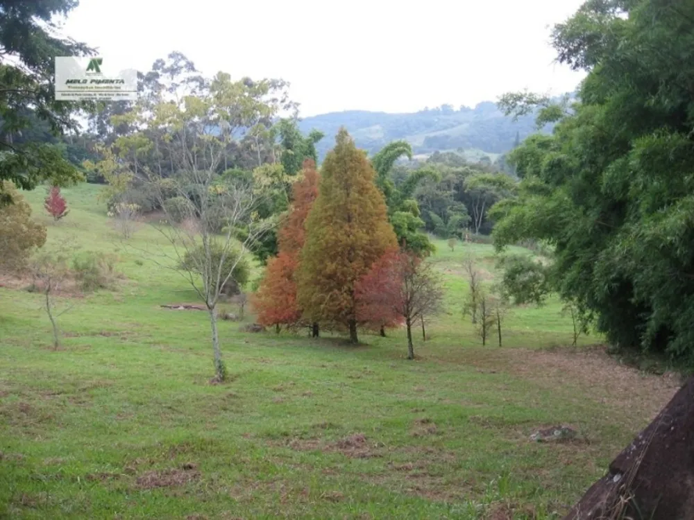 Sítio, 3 quartos, 5 hectares - Foto 9