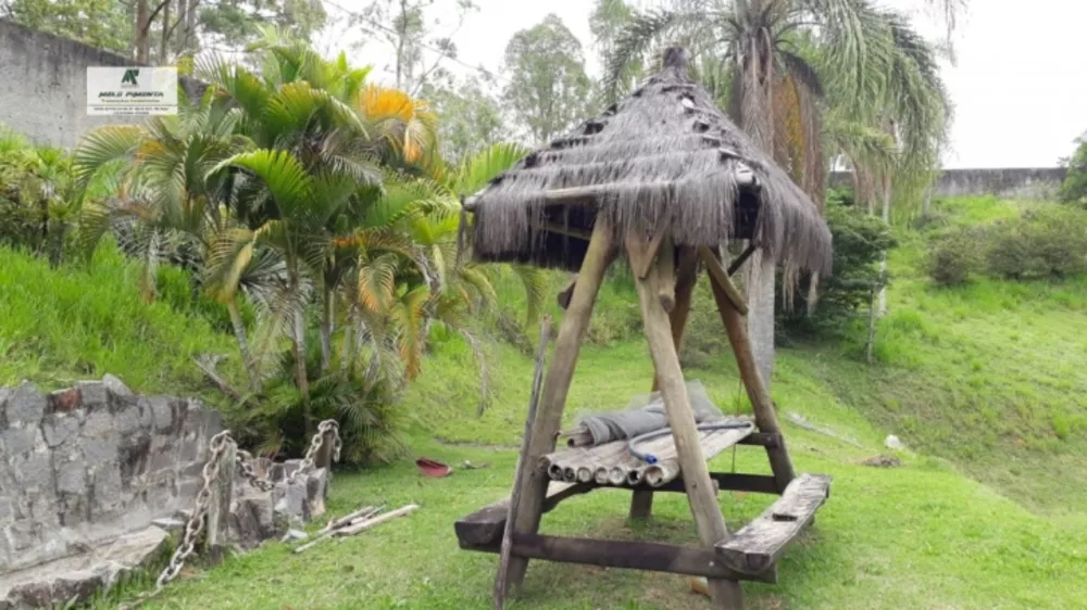 Fazenda à venda com 4 quartos, 8000m² - Foto 4