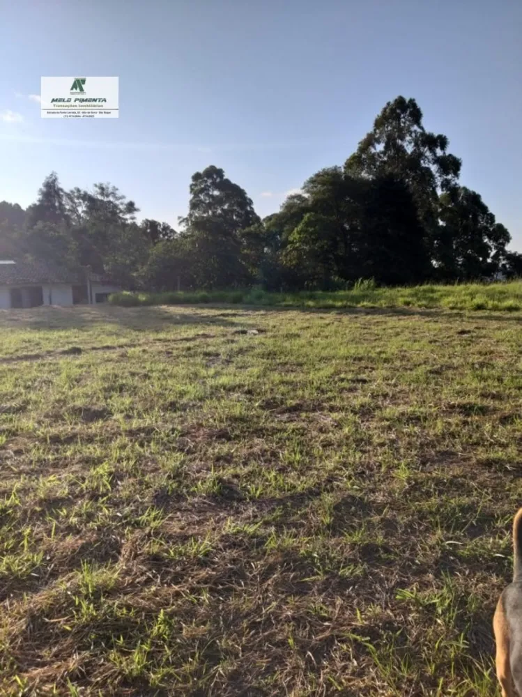 Terreno, 2000 m² - Foto 3