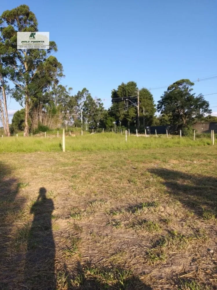 Terreno, 2000 m² - Foto 2