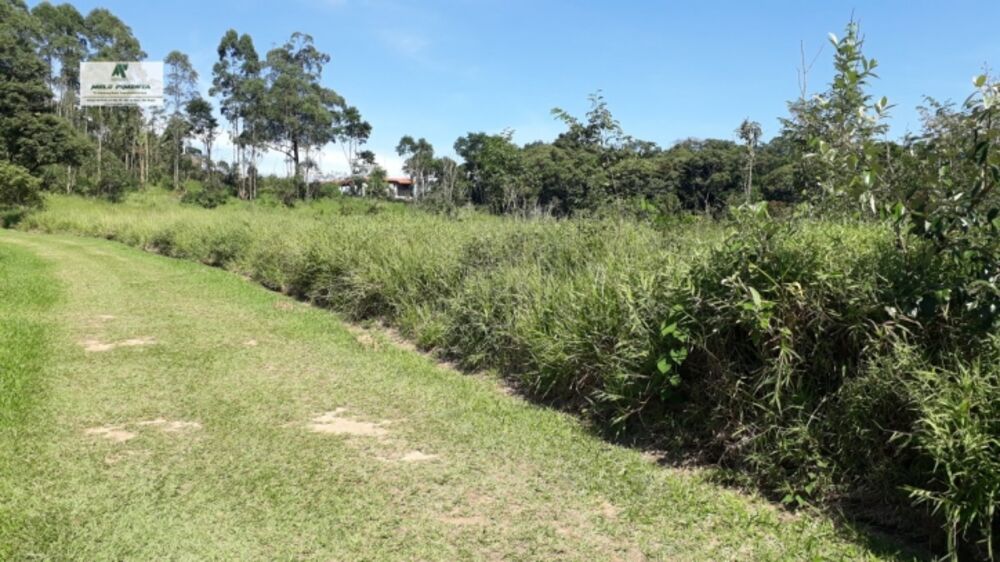 Terreno à venda, 19000m² - Foto 2