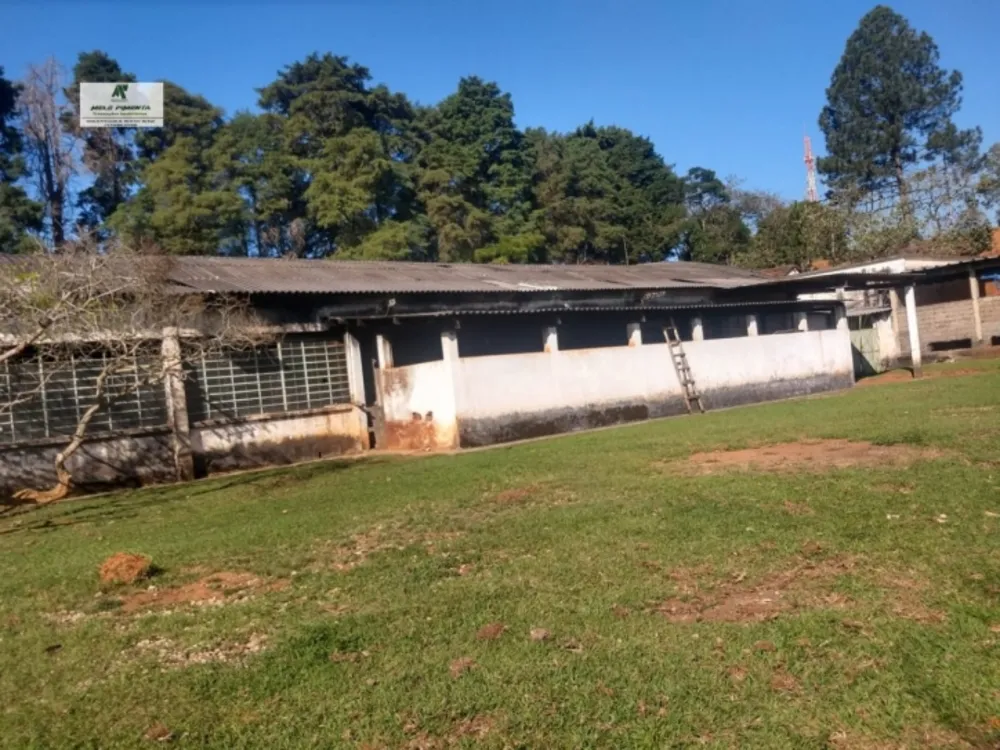 Sala-Conjunto, 50000 m² - Foto 5
