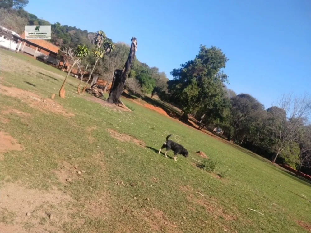 Sala-Conjunto, 50000 m² - Foto 7