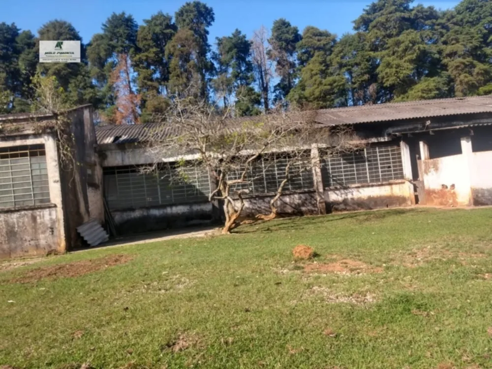 Sala-Conjunto, 50000 m² - Foto 10