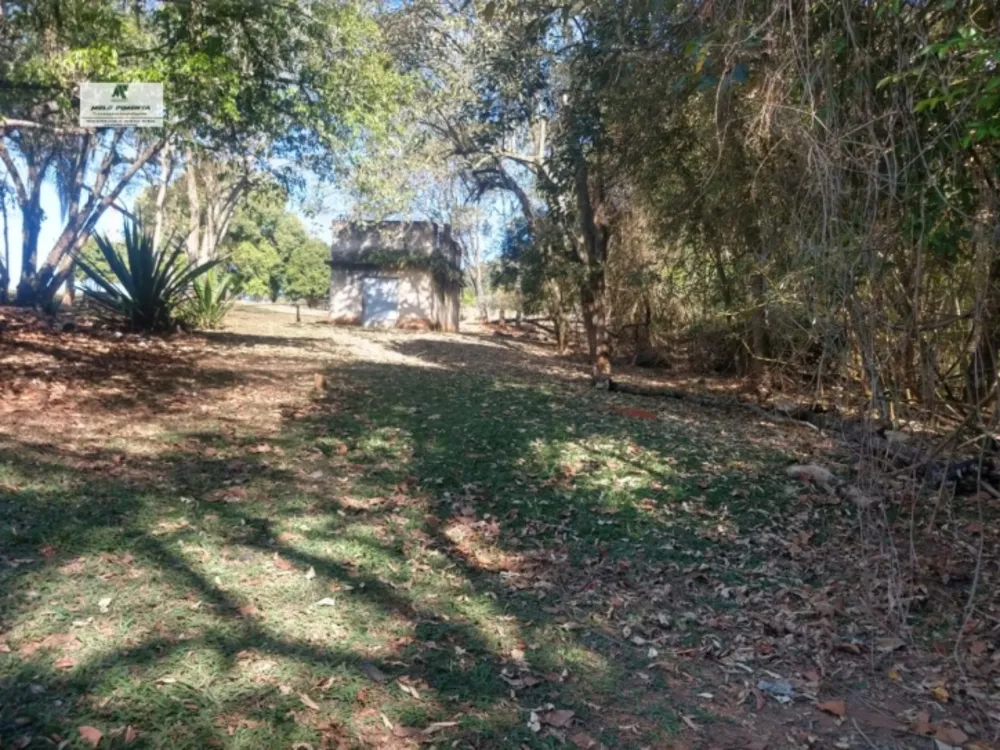 Sala-Conjunto, 50000 m² - Foto 8