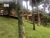 Sítio, 6 quartos, 3 hectares - Foto 3