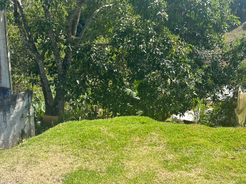Chácara, 2 quartos, 2500 m² - Foto 4
