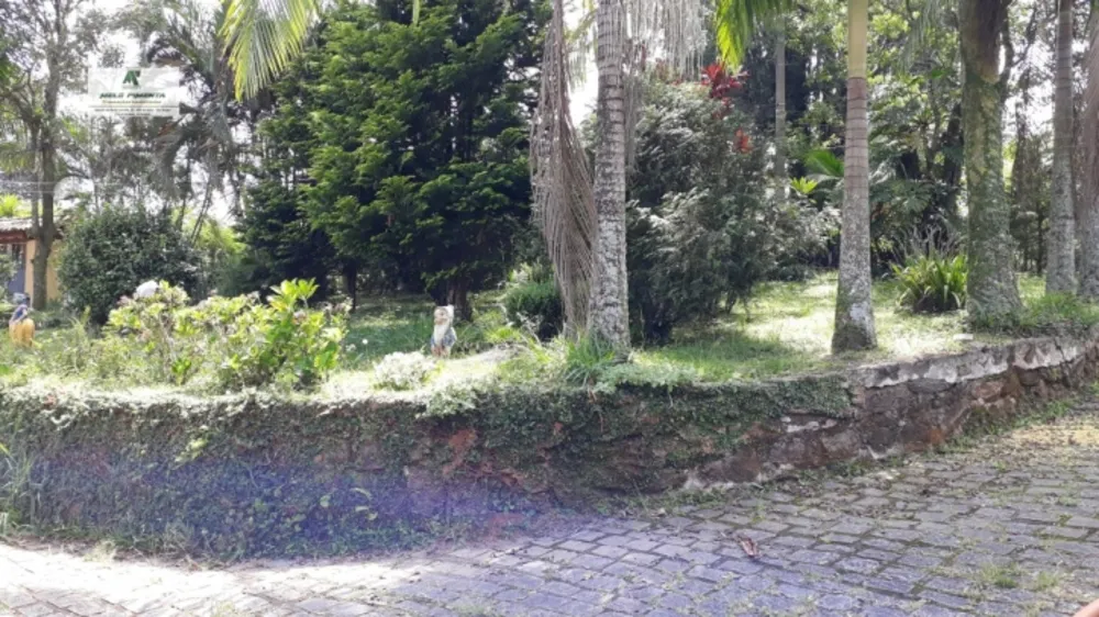 Chácara, 4 quartos, 5000 m² - Foto 9