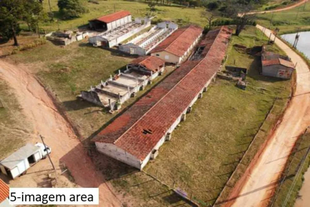 Sítio, 4 quartos, 2 hectares - Foto 4