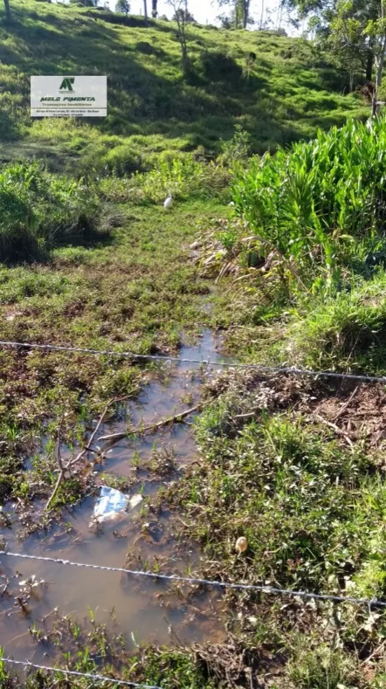 Terreno, 1 hectares - Foto 6