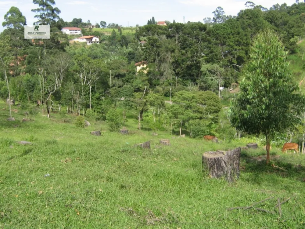 Terreno, 1 hectares - Foto 4