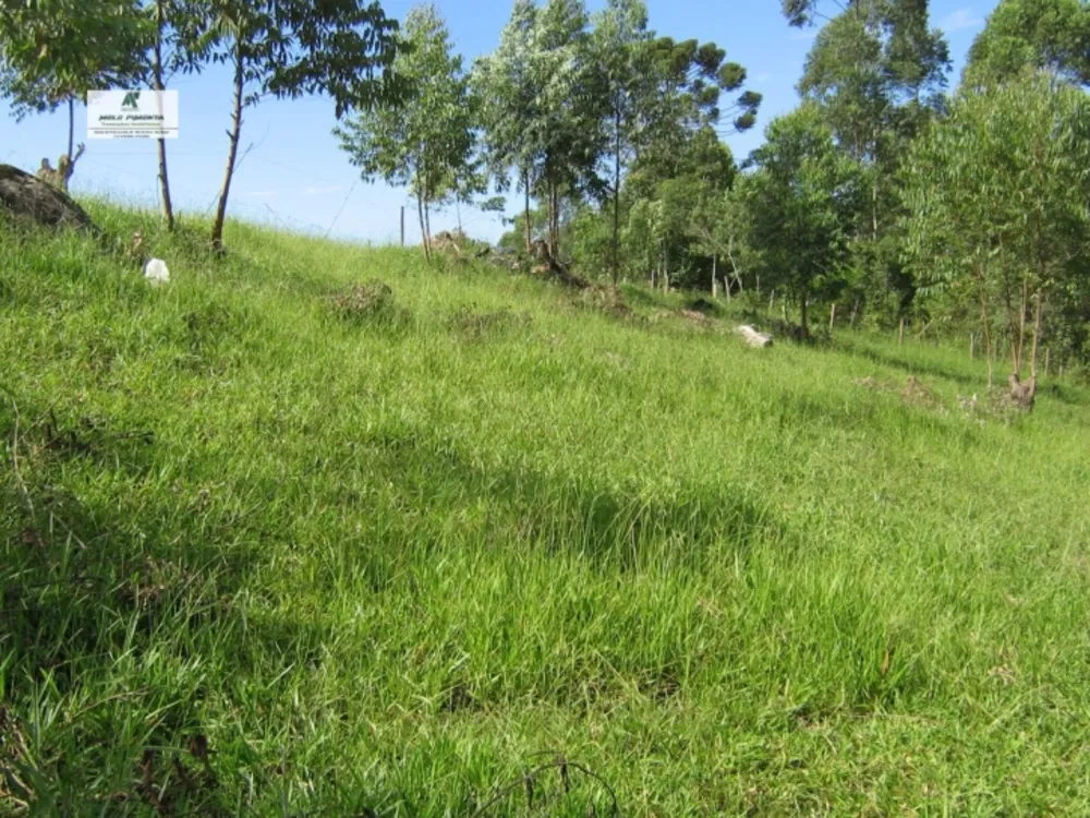Terreno, 1 hectares - Foto 8
