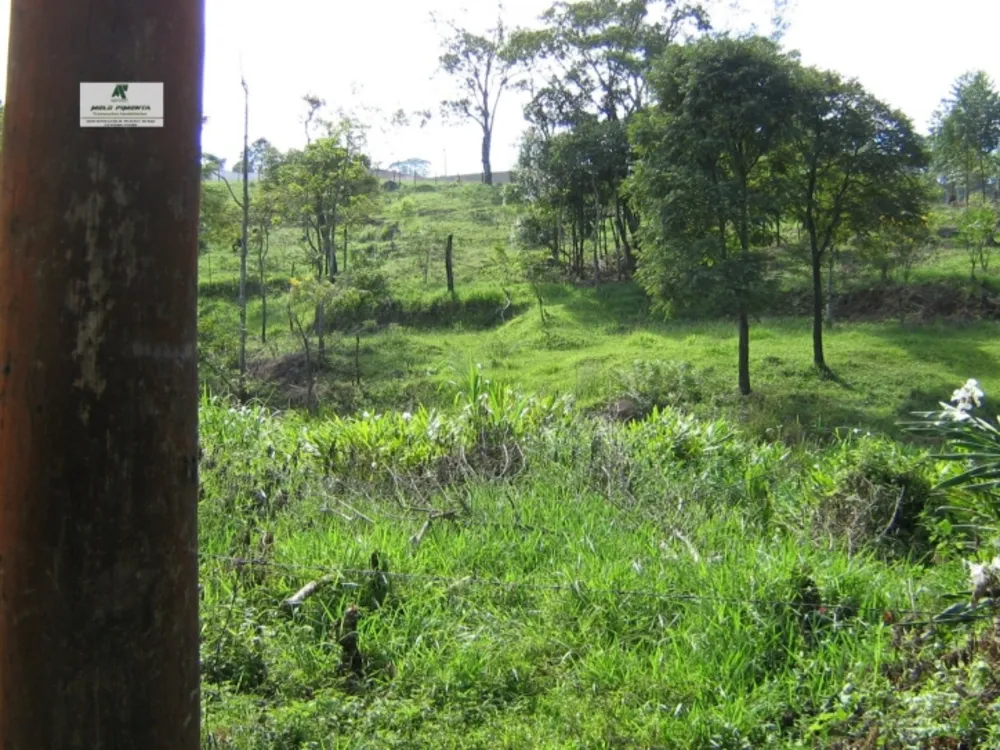 Terreno, 1 hectares - Foto 7