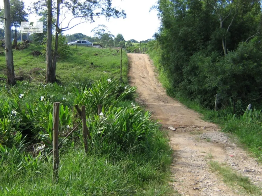 Terreno, 1 hectares - Foto 3