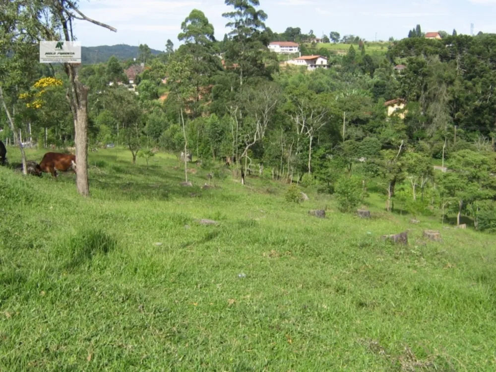 Terreno, 1 hectares - Foto 10