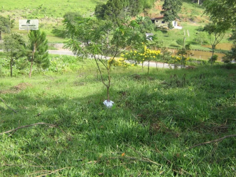 Terreno, 1 hectares - Foto 9
