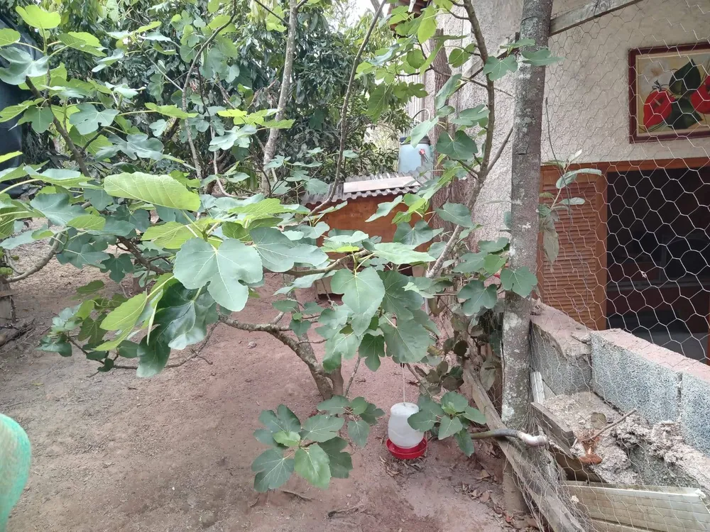 Casa, 2 quartos, 150 m² - Foto 6