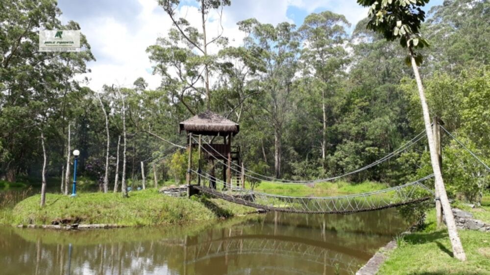 Chácara à venda com 5 quartos, 121000m² - Foto 13