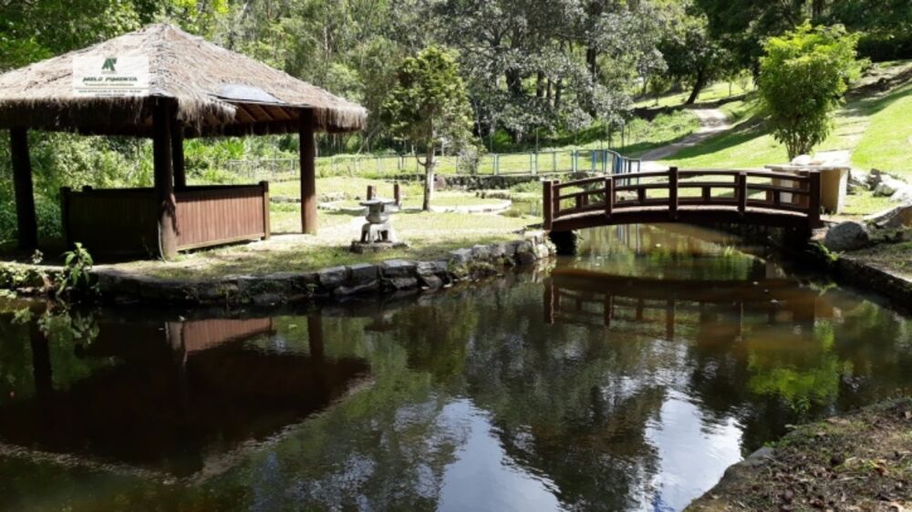 Chácara à venda com 5 quartos, 121000m² - Foto 17