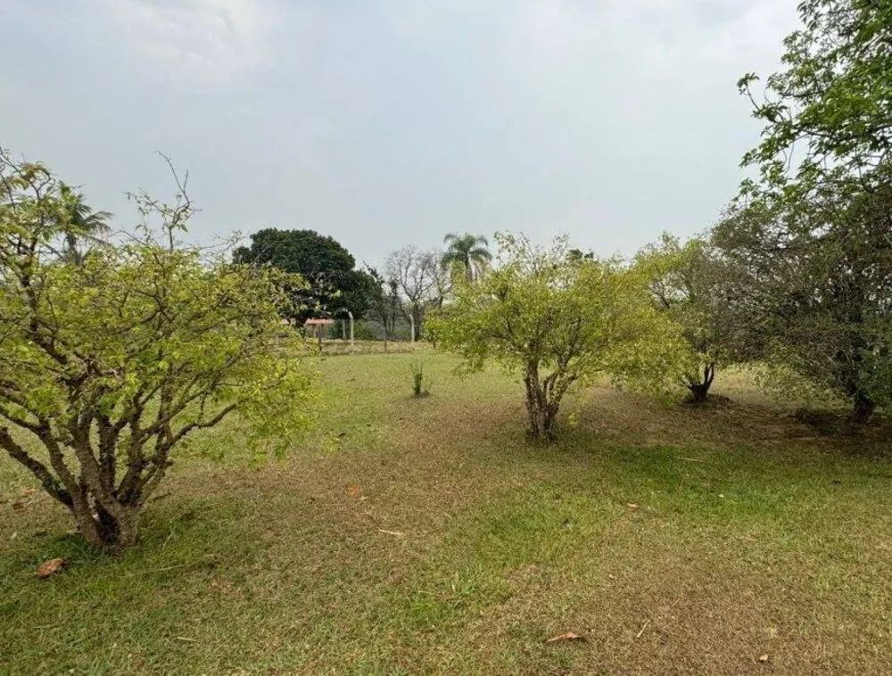 Sítio, 6 quartos, 7 hectares - Foto 3