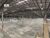 Sala-Conjunto, 95000 m² - Foto 4