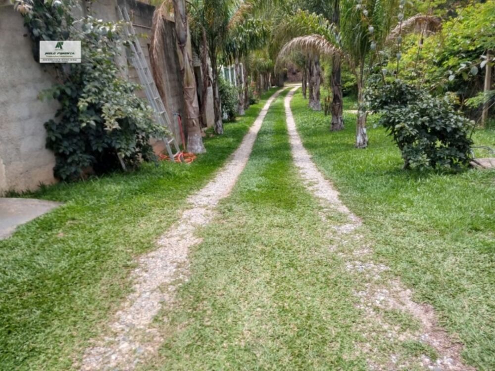 Terreno à venda, 2800m² - Foto 7
