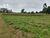 Terreno, 2500 m² - Foto 1