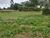 Terreno, 2500 m² - Foto 4