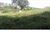 Terreno, 350 m² - Foto 2