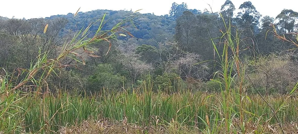 Prédio Inteiro - Foto 8
