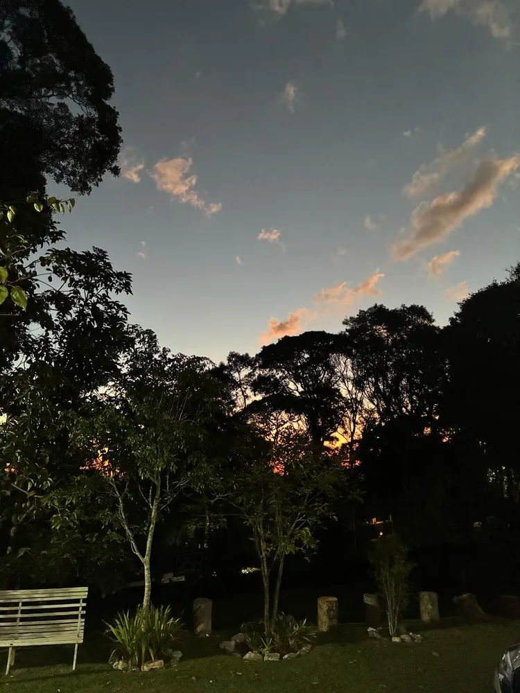 Chácara, 4 quartos, 3600 m² - Foto 3