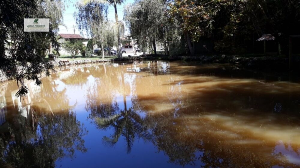 Fazenda à venda com 4 quartos, 1000m² - Foto 5