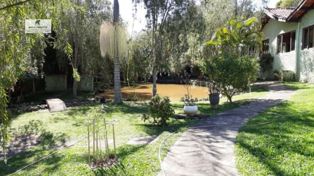 Fazenda à venda com 4 quartos, 1000m² - Foto 6