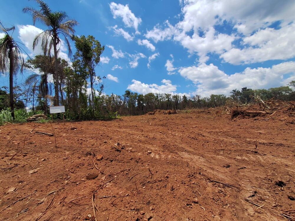 Terreno à venda, 28000m² - Foto 1