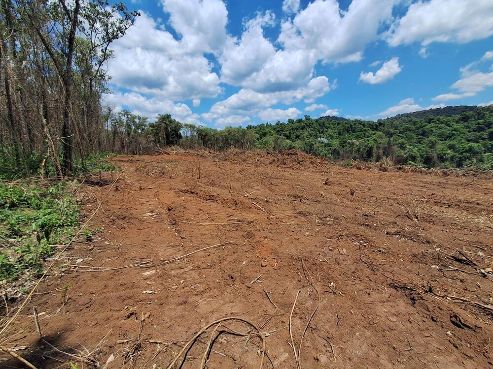 Terreno à venda, 28000m² - Foto 2