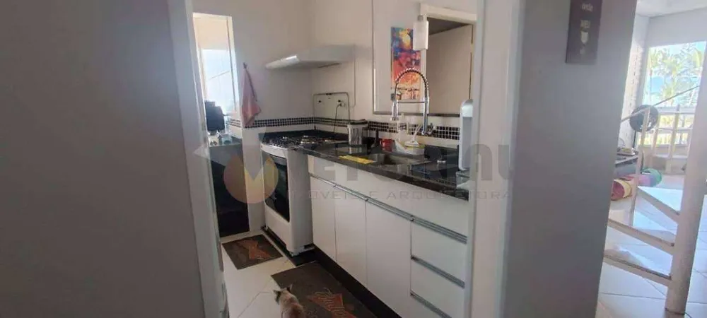 Casa, 5 quartos, 290 m² - Foto 3
