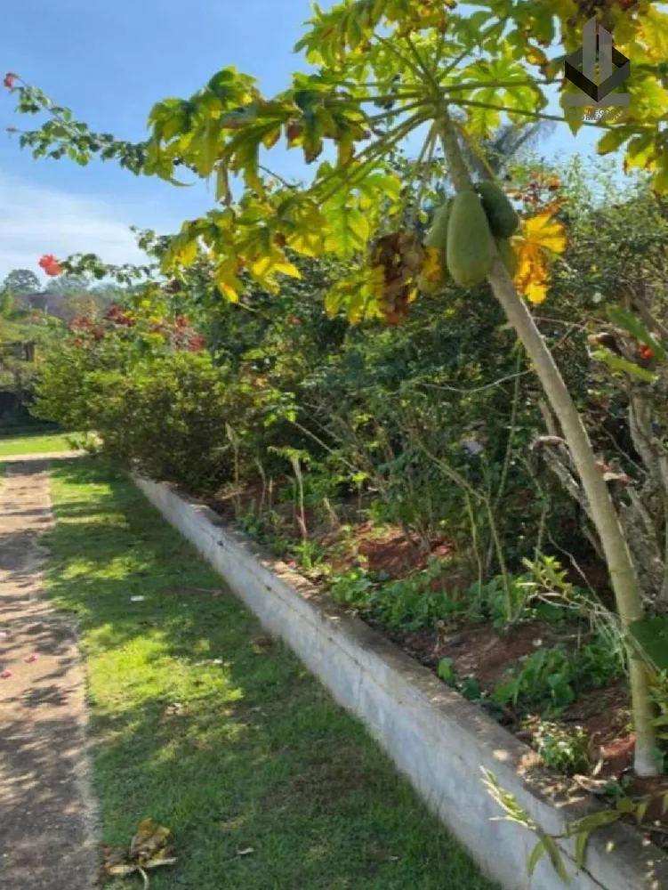 Chácara, 3 quartos - Foto 10